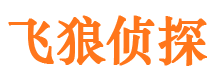 岳塘外遇出轨调查取证